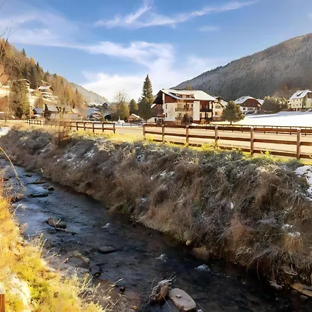 Апартаменты Birgit Бад Кляйнкирххайм